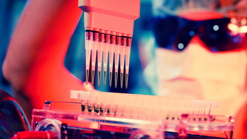 woman assistant in laboratory with multi pipette in the clinic, the research of cancer stem cells. T