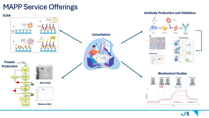 Protein Sciences 2_2025 - 1