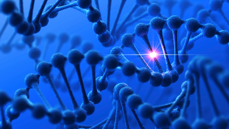 dna-w-shinny-spot_992x558