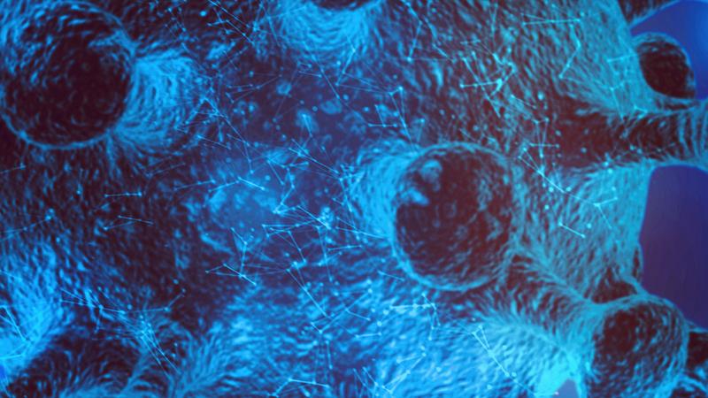 Website Banner Microbes. Flu Covid-19 Virus Cell. Coronavirus Covid 19 Outbreak Influenza Background