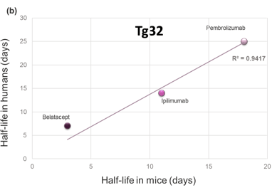 Evidence-based selection of the starting dose in first-in-human clinical  trials using humanized mouse models