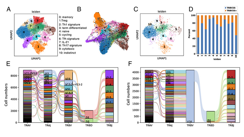 The influence of viral DNA on Type 1 diabetes