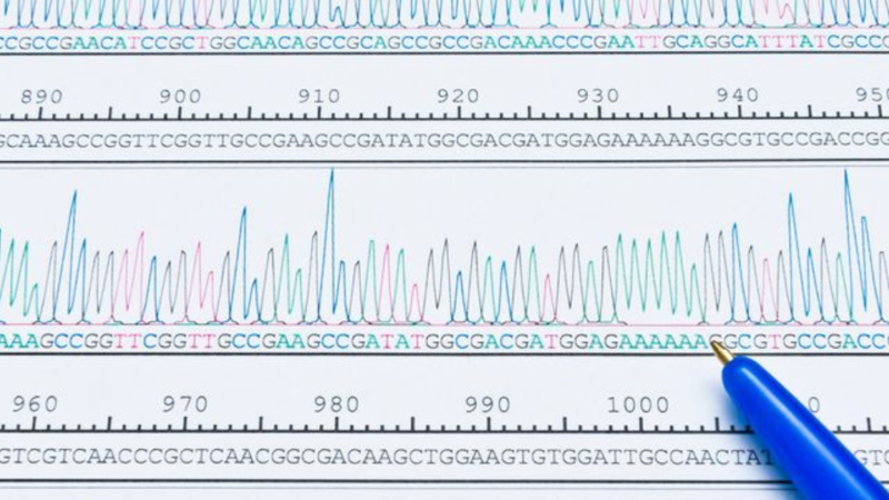 Bioinformatics Exercises