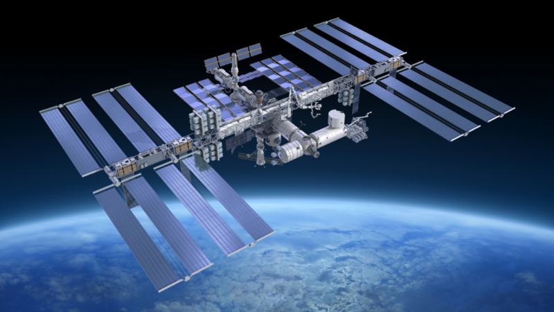 Mice in Space
