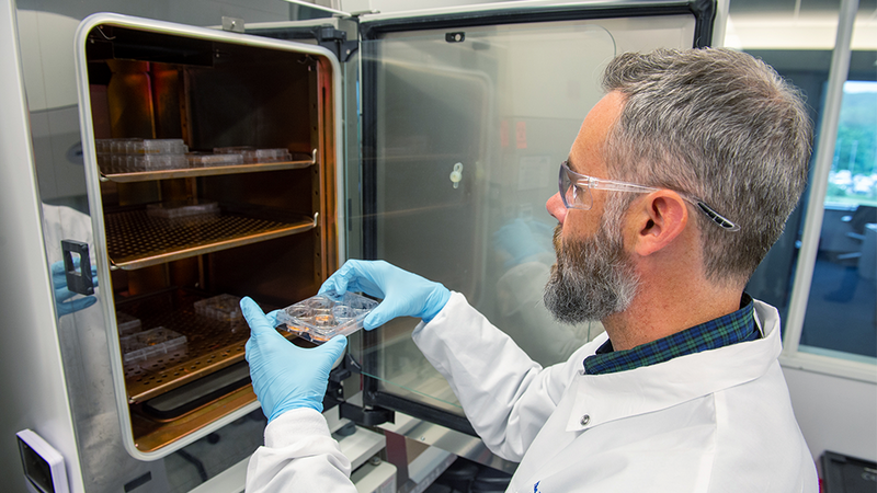 CE-cells-in-incubator_resized