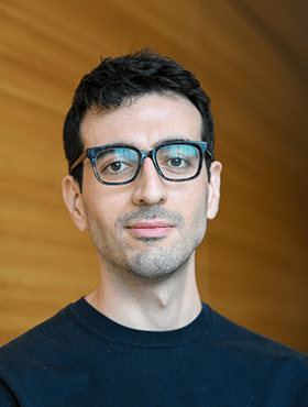 Sayyed Hamed Shahoei, Ph.D.