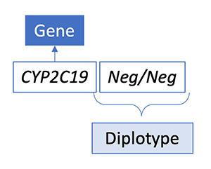 No variants detected