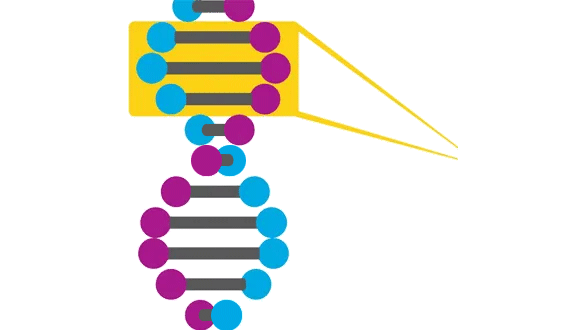 Precision Oncology Online Education