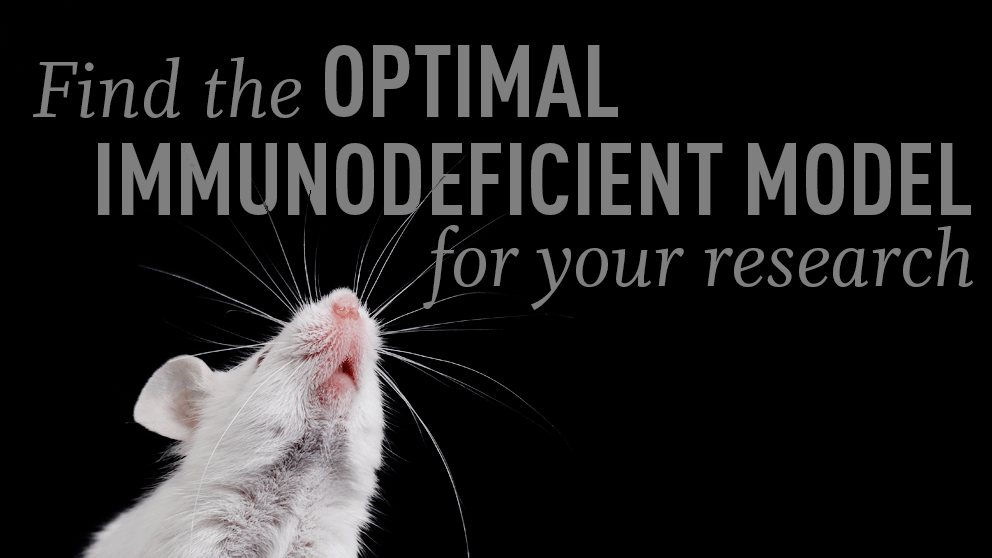 Top Tips on Selecting the 'Best' Immunodeficient Mouse Model for