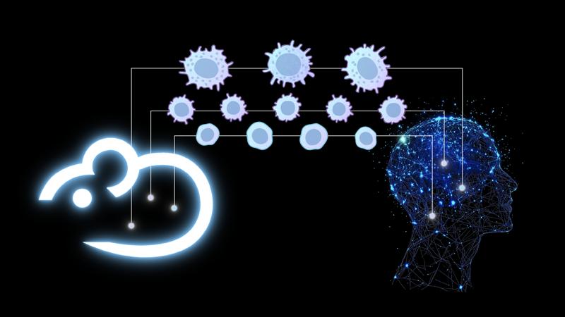 Redefining Preclinical Gene Delivery Testing: Humanized Mouse Models as an Ethical and Effective Alternative to NHPs