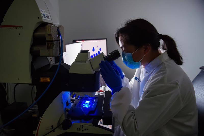 JAX Microscopy lab -8X