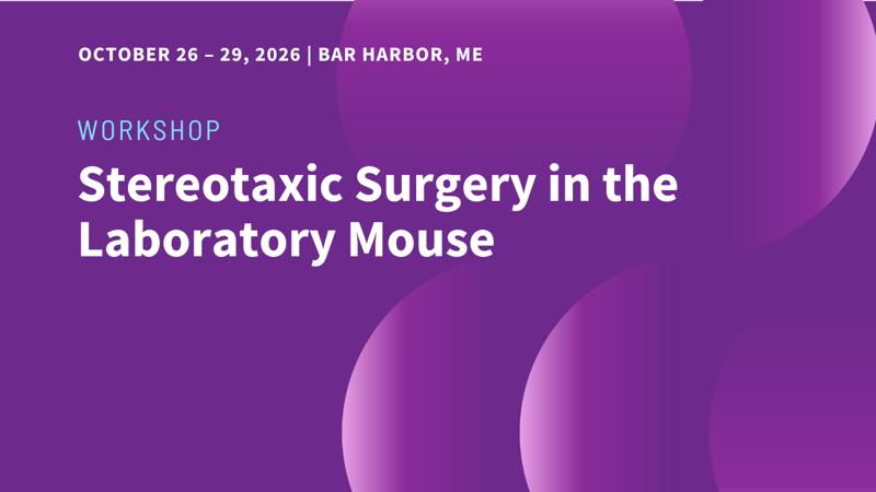 Stereotaxic Surgery Workshop_October 26-29 2026_Thumbnail