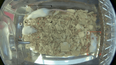 JAX Envision™ - Enhanced Health and Physiology Monitoring through Comprehensive Data Collection