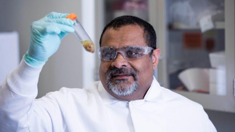 XLIS_Muneer Photo_800x450 - 1