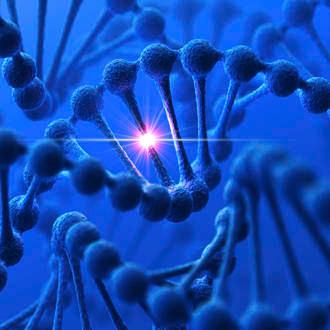 dna-w-shinny-spot_330-x-330