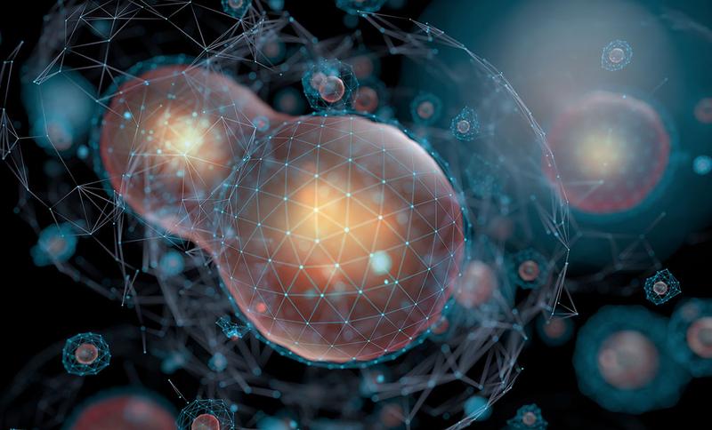 Biotechnology Or Biotech, Concept Of Creation, Division And Cellular Development. High Organic Techn