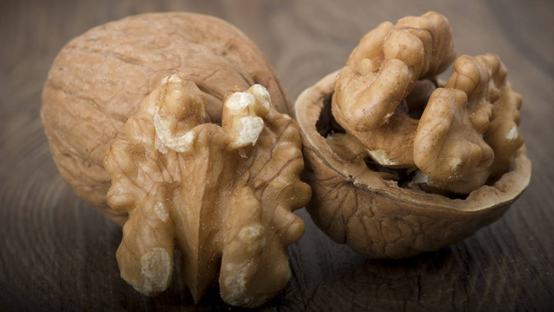 walnut