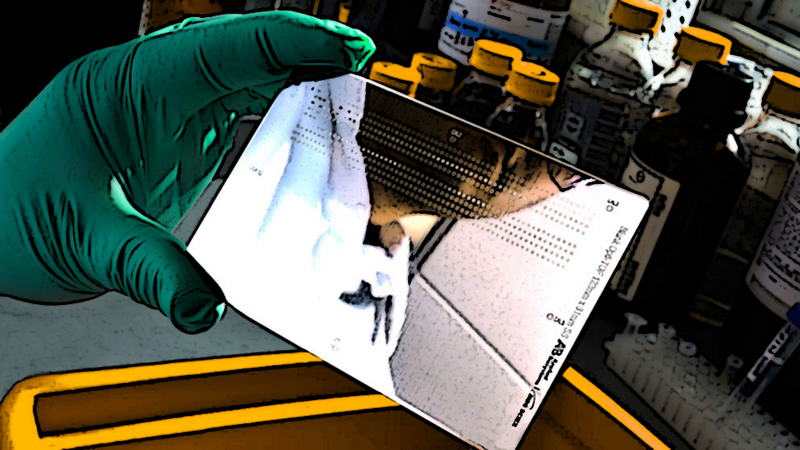 This is the first step in defining your career in science