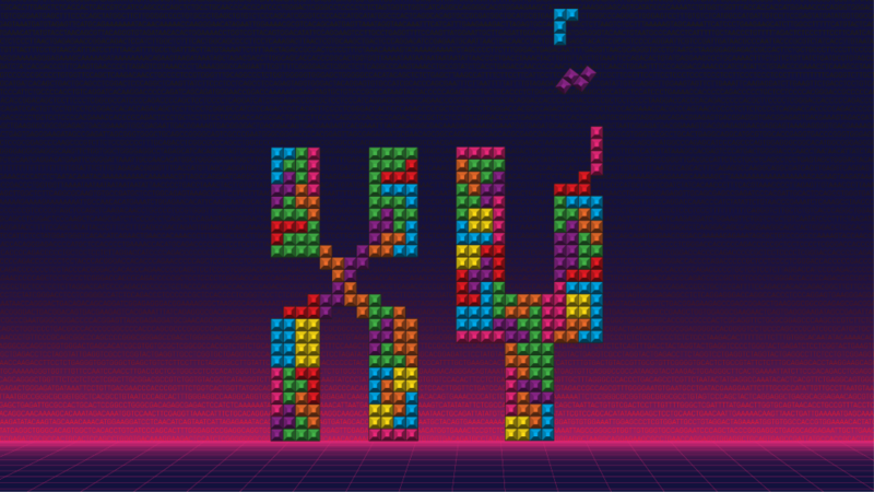 y-chromosomes-blocks-1-resize