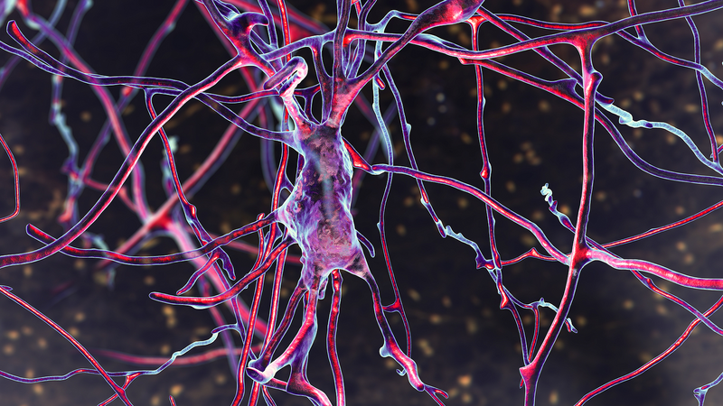 purple-brain-neurons