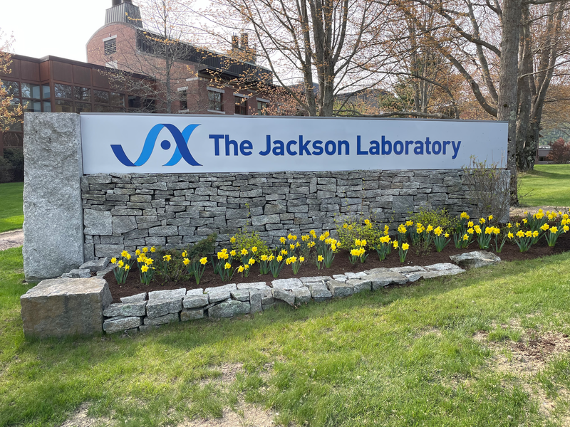 More JAX News