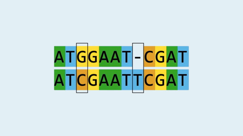 TtGG Sequence Comparison Curriculum Module