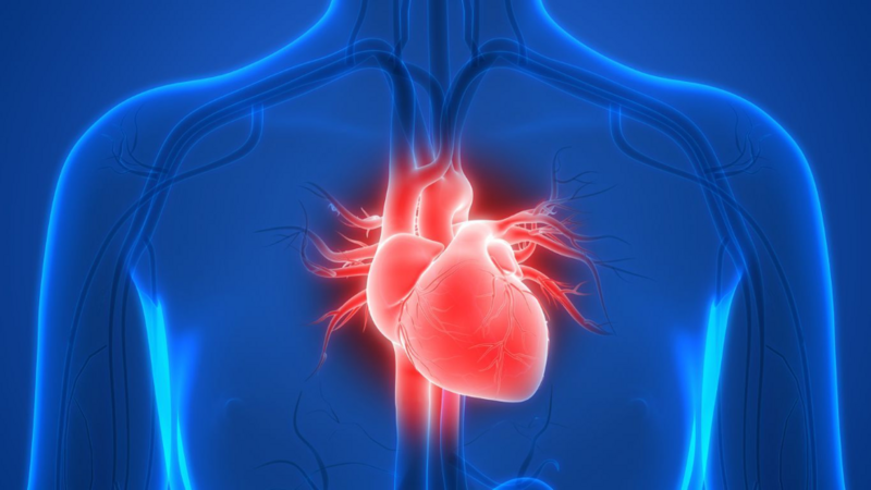 heart-beating-in-body-abstract