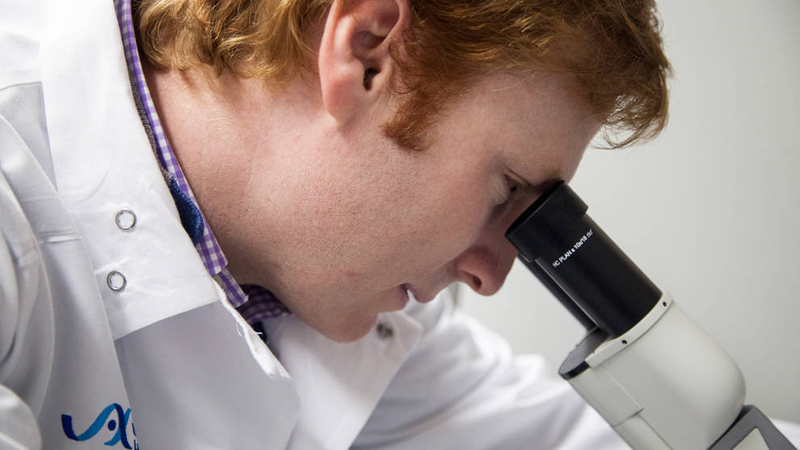hinson-microscope