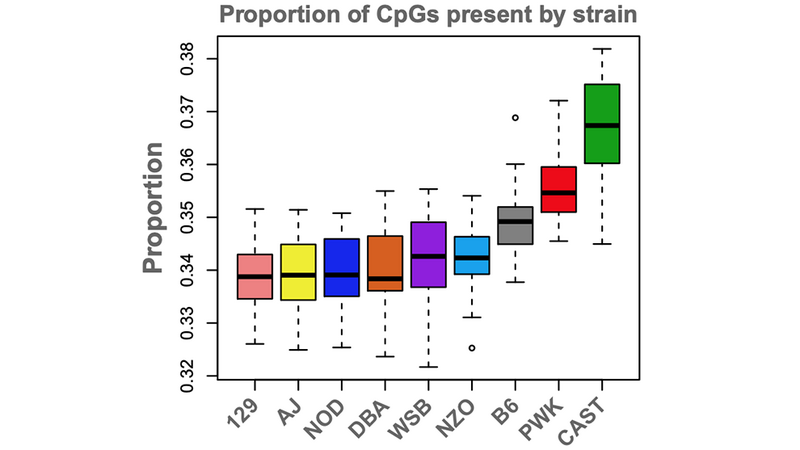 Variation in Diversity Outbred mice epigenetics