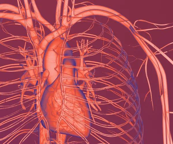 The Jackson Laboratory - Cardiovascular Research Services