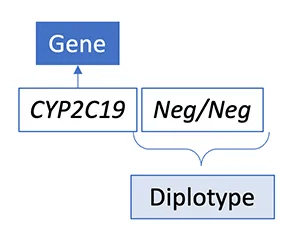 No variants detected