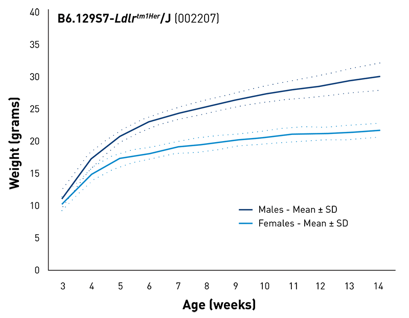 Body Weight Information for JAX® Mice Strain Ldlr KO (002207)