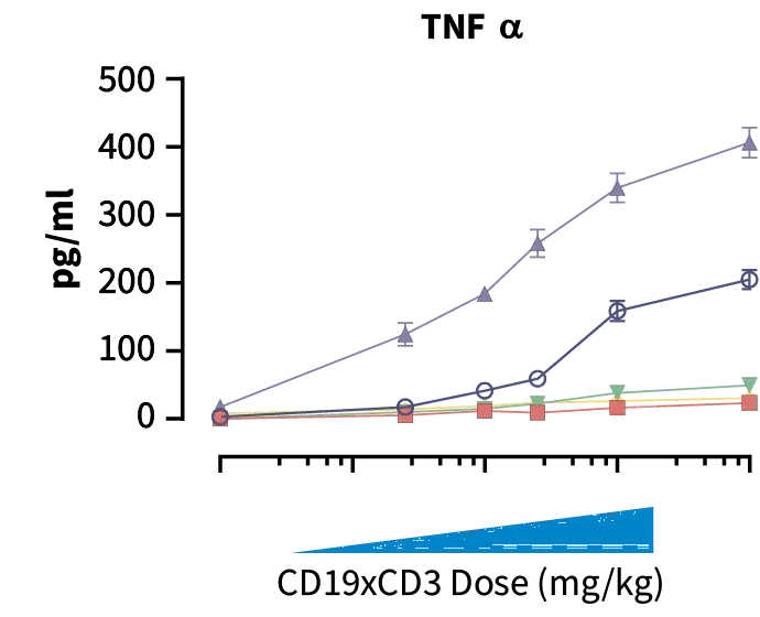 JAX PBMC Humanized Mice - TNF Graph - Increased dose of CD19xCD3 bispecific increased human cytokine concentration in blood. Donors C & E showed more elevated cytokine release than donors D, F, & G indicating high toxicity potential.