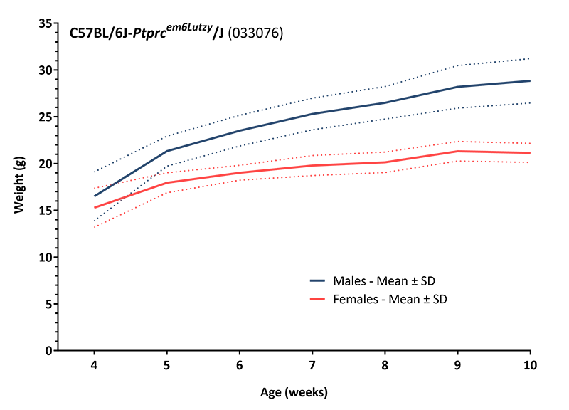 Body Weight Information for JAX® Mice Strain JAXBoy (033076)