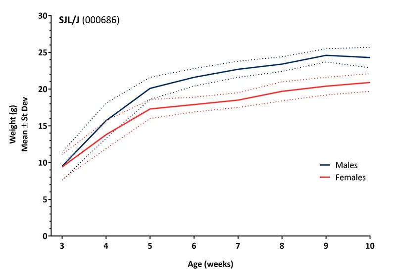 Body Weight Information for JAX® Mice Strain SJL (000686)