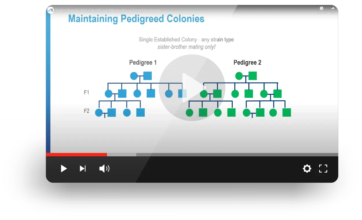 Support Reproducibility & the 3R's with Effective Mouse Colony Management