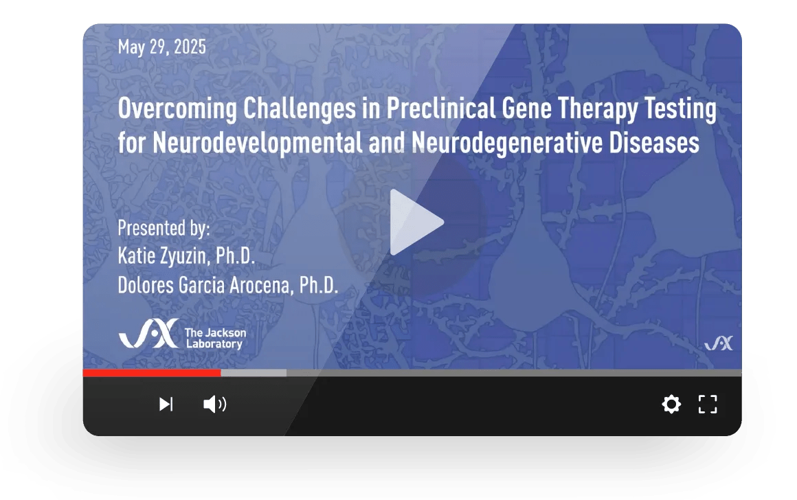 Overcoming Challenges in Preclinical Gene Therapy Testing for Neurological Diseases