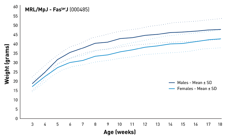 Body Weight Information for JAX® Mice Strain MRL-lpr (000485)