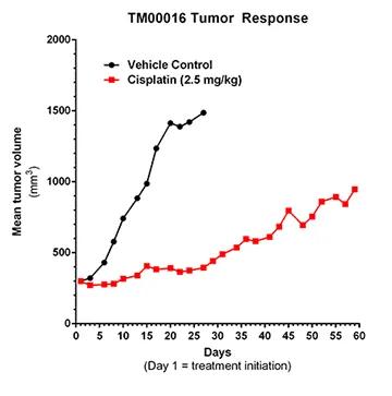 TM00016 Tumor Response