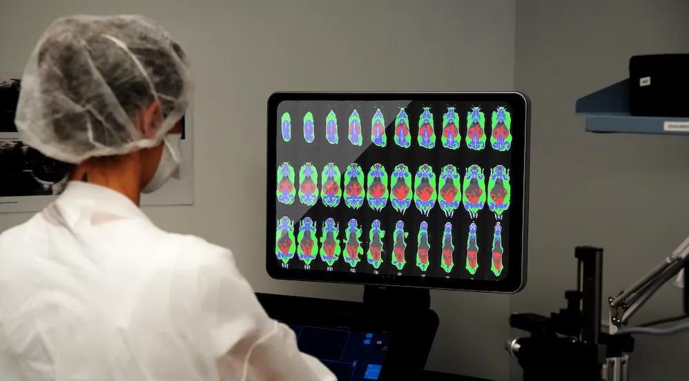 JAX&rsquo;s Contributions to Metabolics Featured in Nature Metabolism