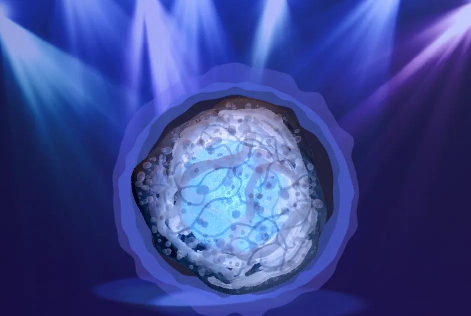 Defining a Reference iPSC Line: Criteria, Context, and the Case of KOLF2.1J