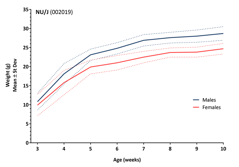 Body Weight Information for JAX® Mice Strain Inbred Nude (002019)