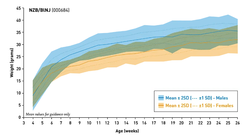 Body Weight Information for JAX® Mice Strain NZB (000684)