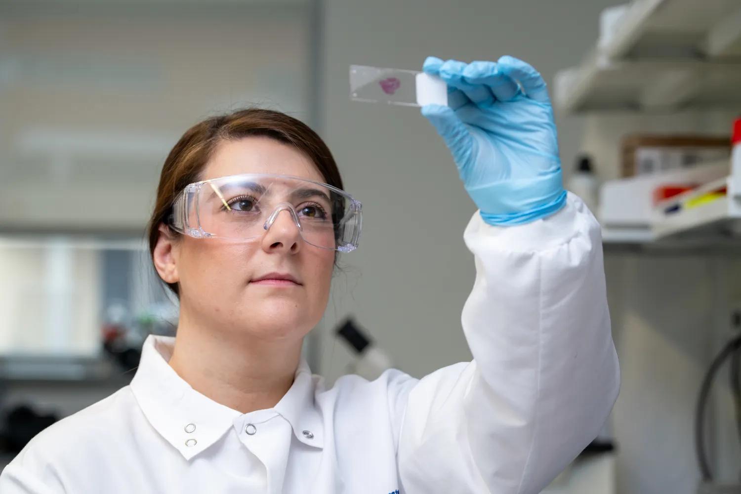 Cristina Baquero Mayo, Ph.D.