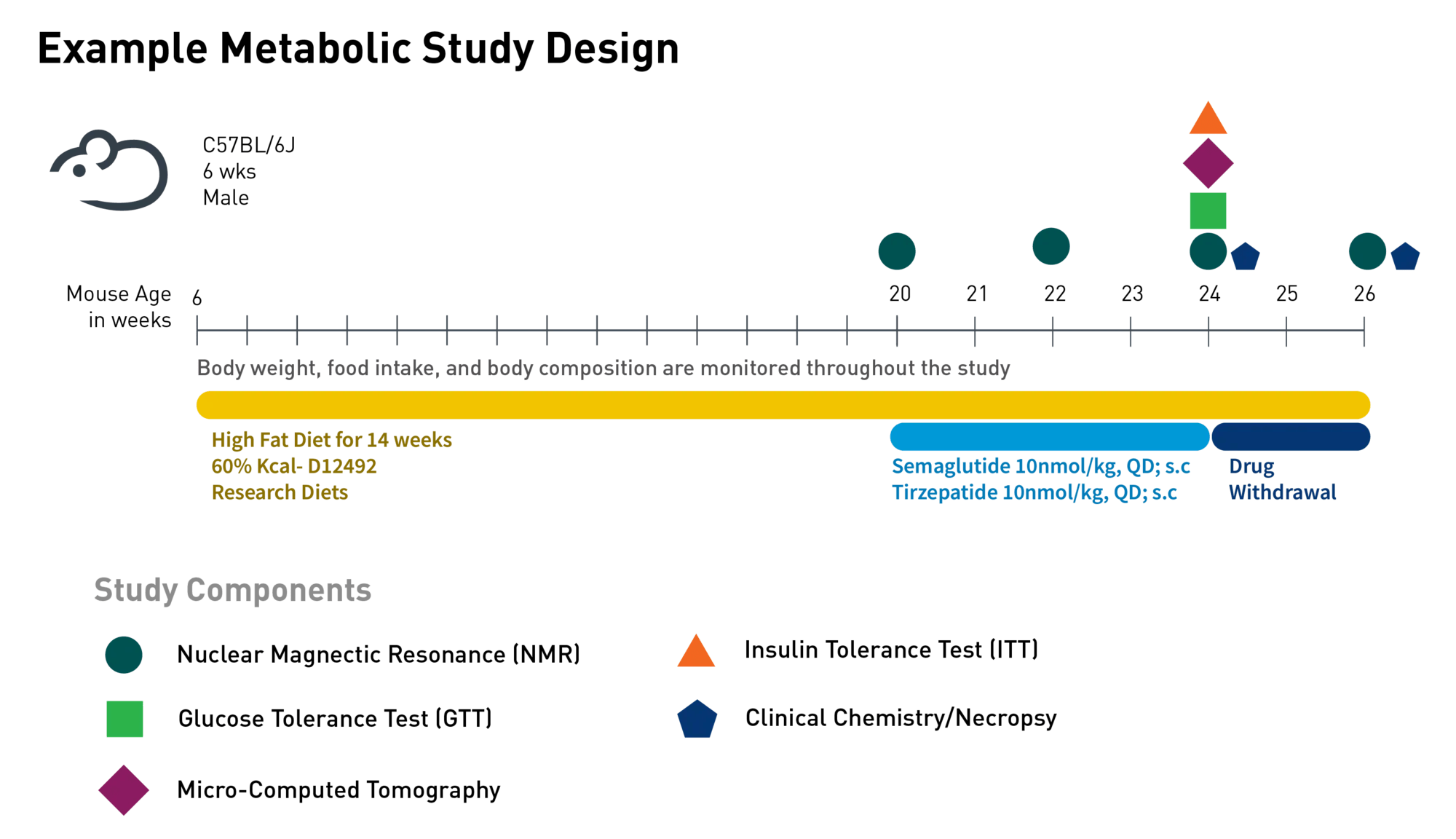 JAX Example Metabolic Study Design