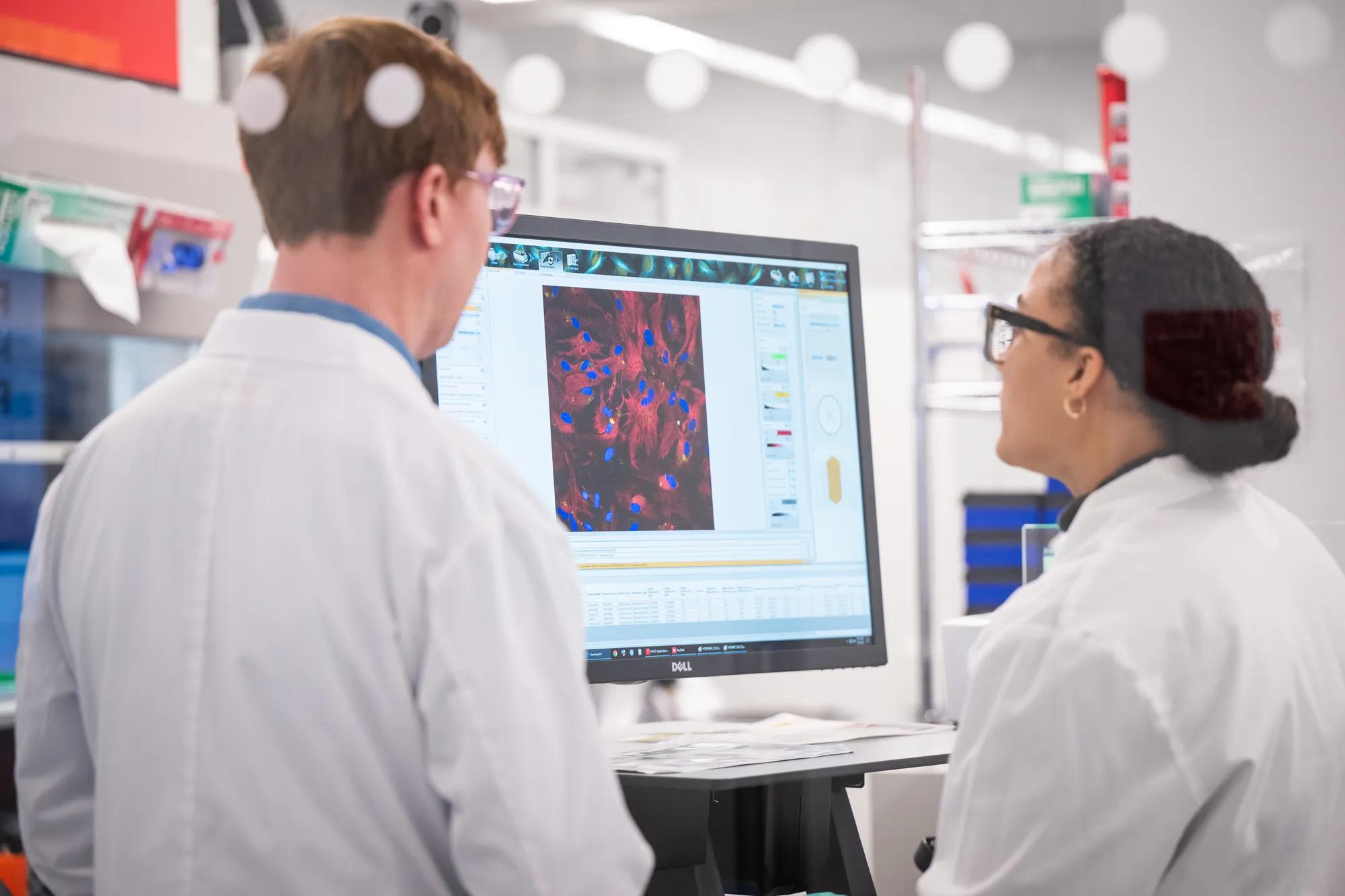 Scientists at the JAX-NYSCF Collaborative in New York City examine cells on a screen.