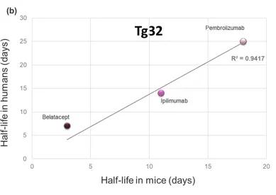 Figure 1. Comparison of the clinical serum half-life of three therapeutic antibodies with the corresponding half-life in FcRn humanized (Tg32) mice.