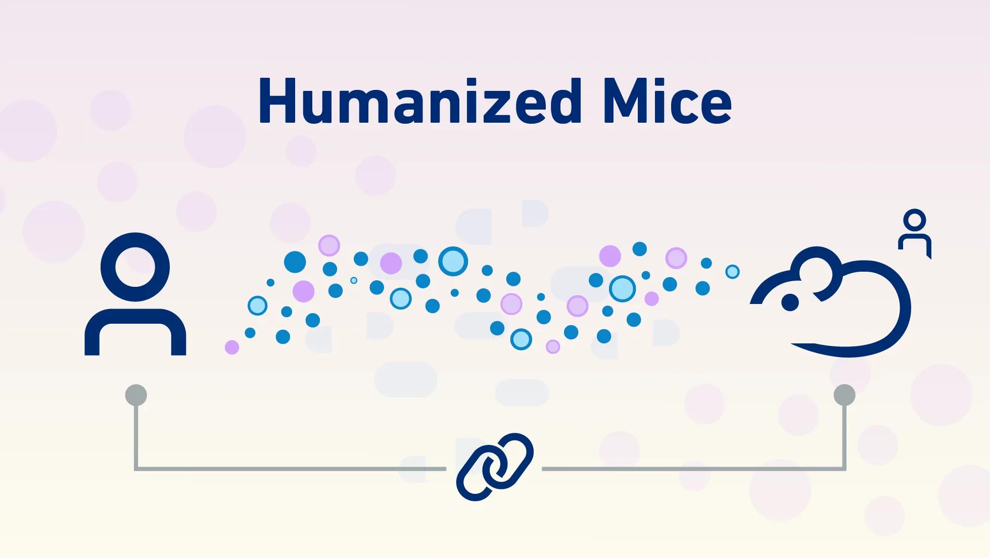 What is a (JAX) humanized mouse?