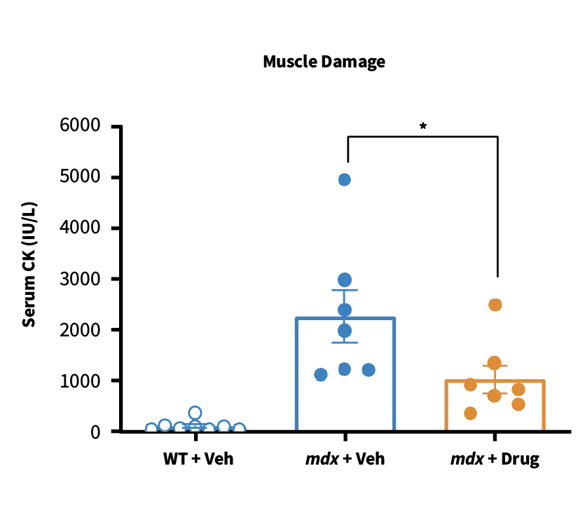 C57BL/10ScSn-Dmdmdx/J Strain #001801 - Serum CK to evaluate drug efficacy in decreasing muscle damage