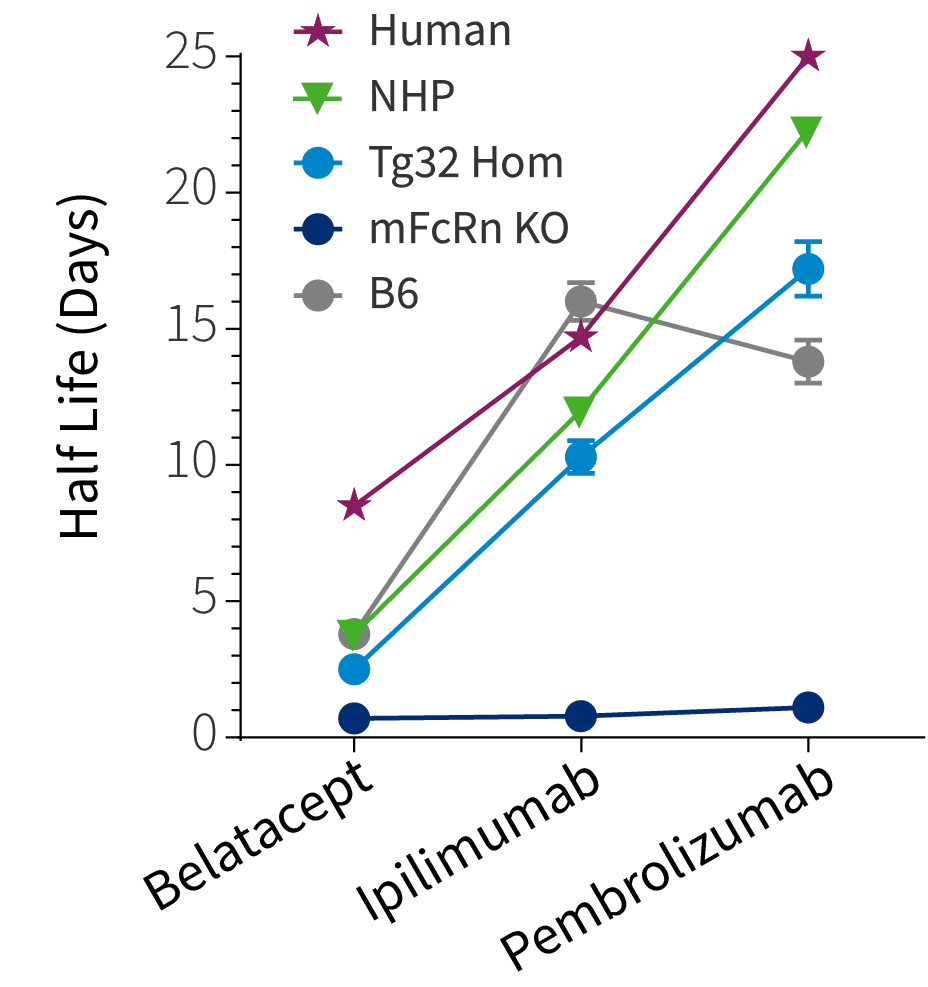 Figure 2a: Half life curve of Belatacept, Ipilimumab and Pembrolizumab in Tg32 Hom mice (014565) correlates well to the corresponding NHP and human half life's of these antibodies.